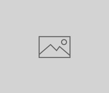 Flagstaff: Pocket Door